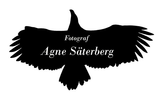 Fotograf Agne Säterberg